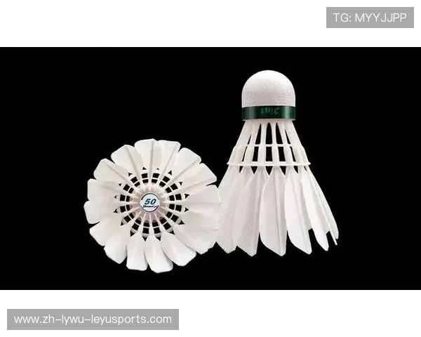 羽毛球哪是 球头